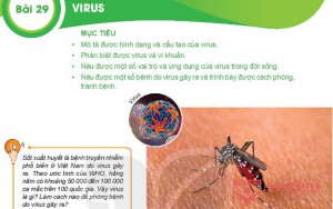 Giải bài tập Khoa học tự nhiên 6, Bài 29. Virus