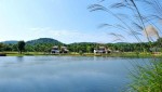 /assets/news/2019_10/ho-dai-lai.jpg