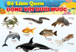 /assets/news/2020_05/con-vat-song-duoi-nuoc.jpg