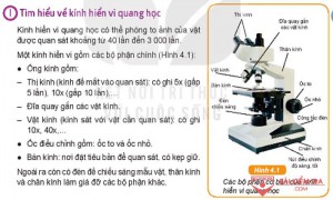 Giải bài tập Khoa học tự nhiên 6, Bài 4: Sử dụng kính hiển vi quang học