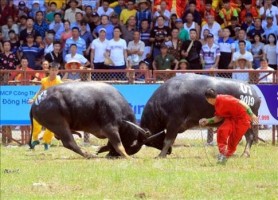 Giải Lịch sử và Địa lý 4 sách Chân trời sáng tạo, bài 3: Lịch sử và văn hoá truyền thống địa phương