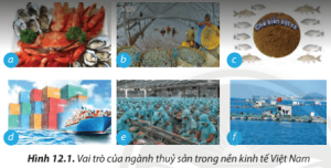 Giải Công nghệ 7 sách Chân trời, bài 12: Ngành thuỷ sản ở Việt Nam