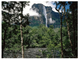 Giải Địa lí 7 sách Chân trời, bài 16: Thiên nhiên Trung và Nam Mỹ