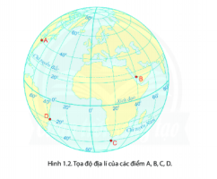 Giải Địa lí 6 sách Chân trời, bài 1: Hệ thống kinh, vĩ tuyến và tọa độ địa lí