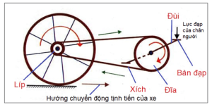 Giải Khoa học tự nhiên 8 sách Kết nối tri thức, bài 18: Tác dụng làm quay của lực - Moment lực