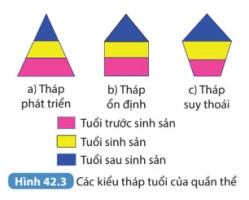 Giải Khoa học tự nhiên 8 sách Kết nối tri thức, bài 42: Quần thể sinh vật