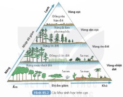 Giải Khoa học tự nhiên 8 sách Kết nối tri thức, bài 45: Sinh quyển