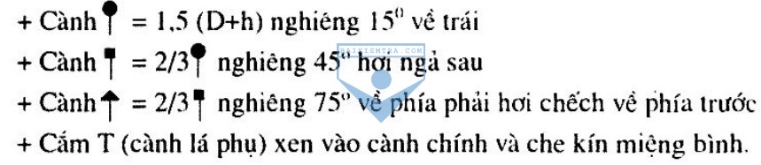 bai giang cong nghe 6