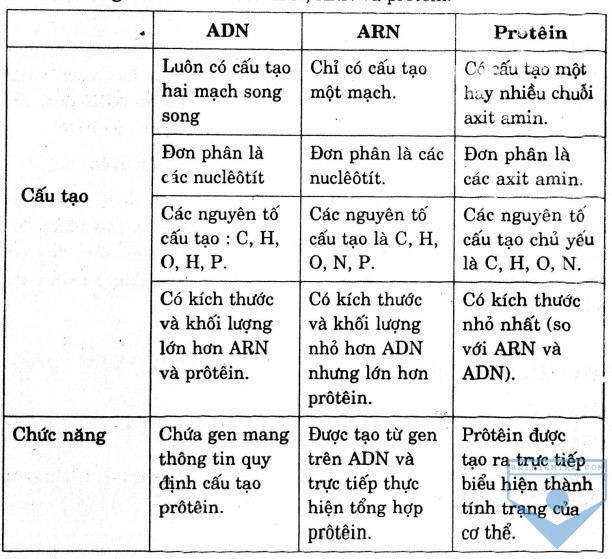 hinh 1