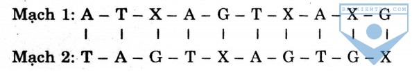 HINH 1