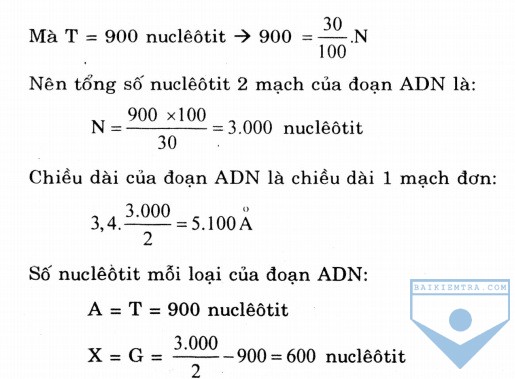 hinh 6