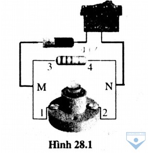 hinh 28.1