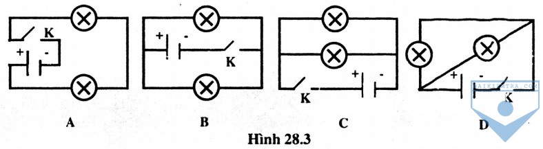 hinh 28.3