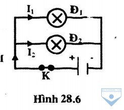 hinh 28.6
