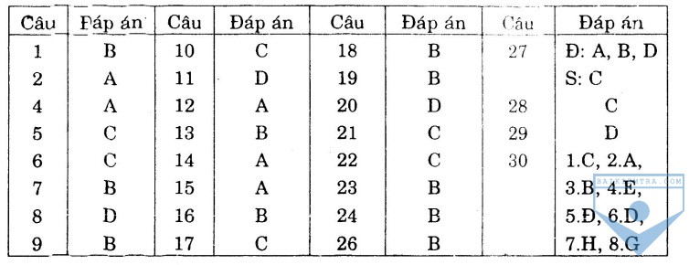 dap an bai so 16