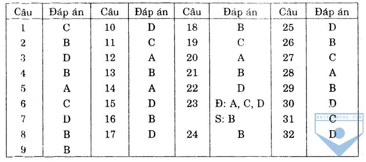 dap an bai so 20