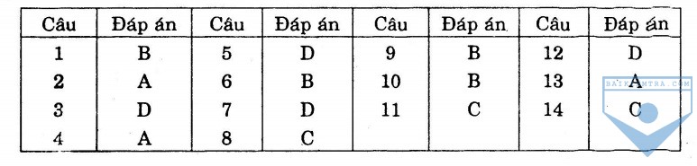 dap an bai so 22