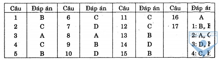 dap an bai so 23