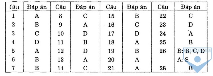 dap an bai so 24 1