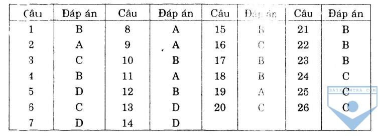 dap an bai so 31
