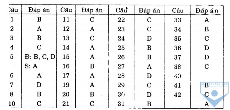 dap an bai so 6