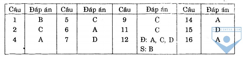 dap an bai so 8