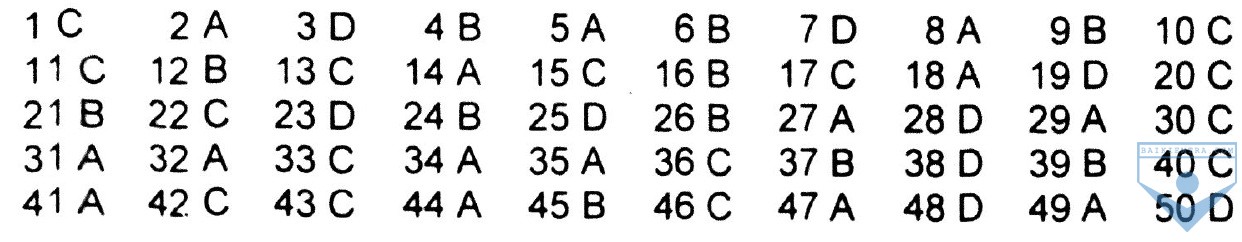 dap an bài 15