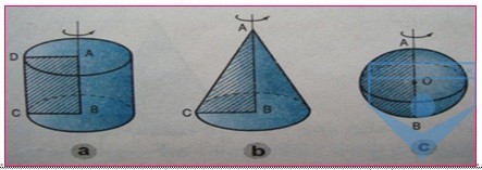 b6
