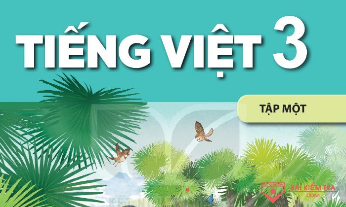 Đề thi cuối học kì 1 Tiếng Việt 3 Kết nối tri thức