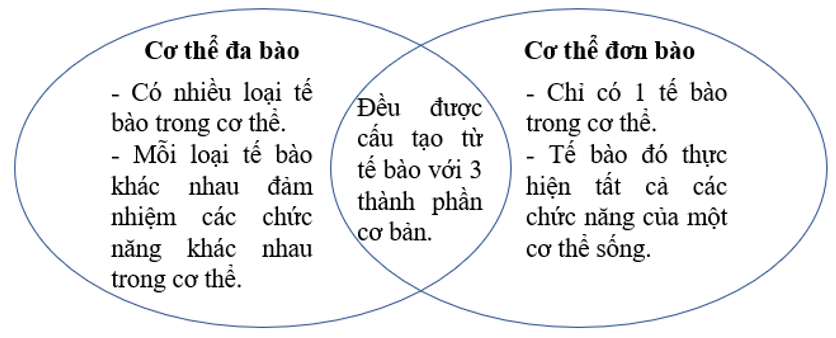 https://i.vdoc.vn/data/image/2022/11/22/ve-lai-hinh-ben-va-hoan-thanh-cac-yeu-cau.png