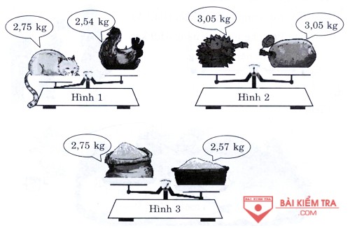 bai 11